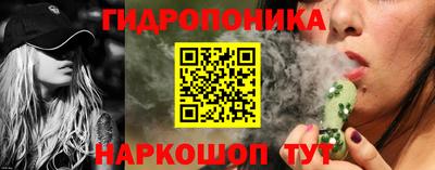 хмурый Бийск