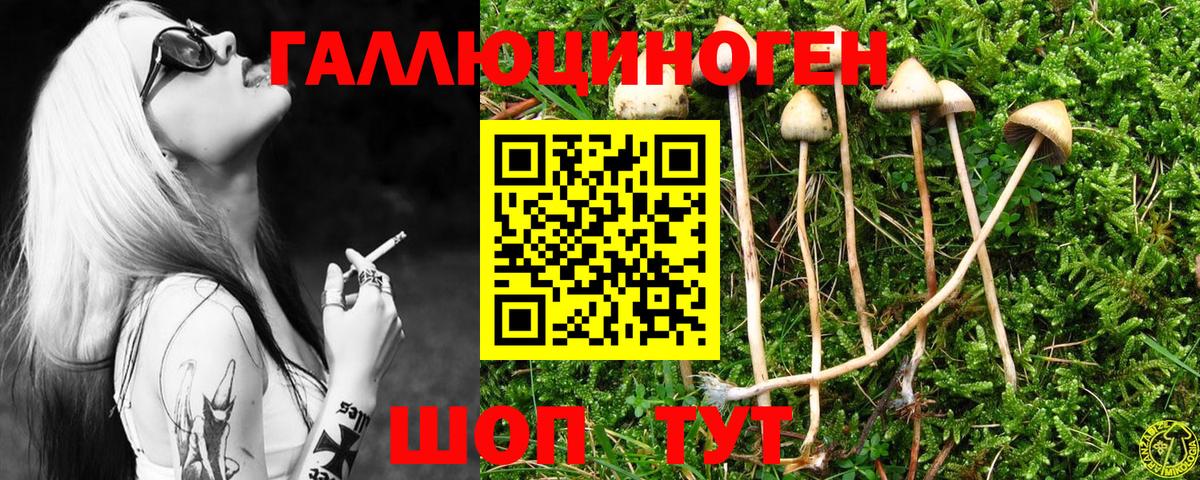 Галлюциногенные грибы GOLDEN TEACHER  Вход с VPN  Богородицк  Псилоцибиновые грибы Cubensis 